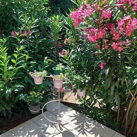 Holiday home Whole House Ariela, 20m To The Beach, Has A Barbecue, 2 Terraces *